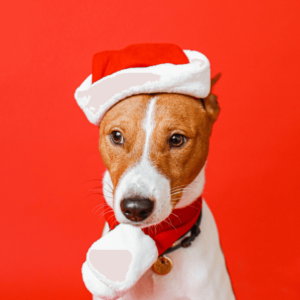 Losowa długość nazwy przycięta mało ładnie ale skutecznie Produkt 1